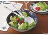 Salad bowl+cutlery mb northwind<