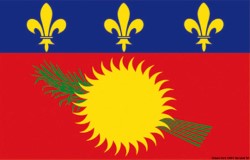 Flagge Guadeloupe 30 x 45 cm 