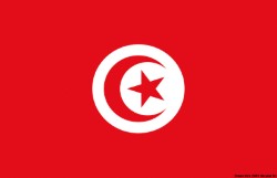Bandera de Túnez 20x30cm